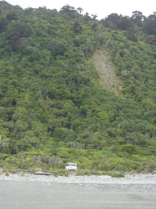 Lush landscape